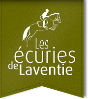 Les écuries de Laventie, commerce de chevaux de sport et de loisir